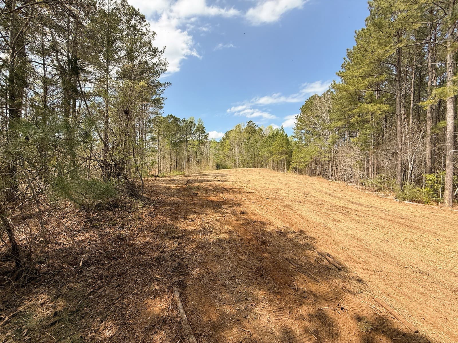 The same area after forestry mulching