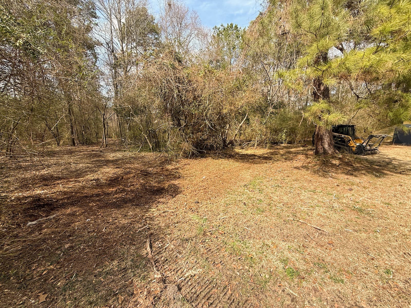 The same Macclesfield property after forestry mulching