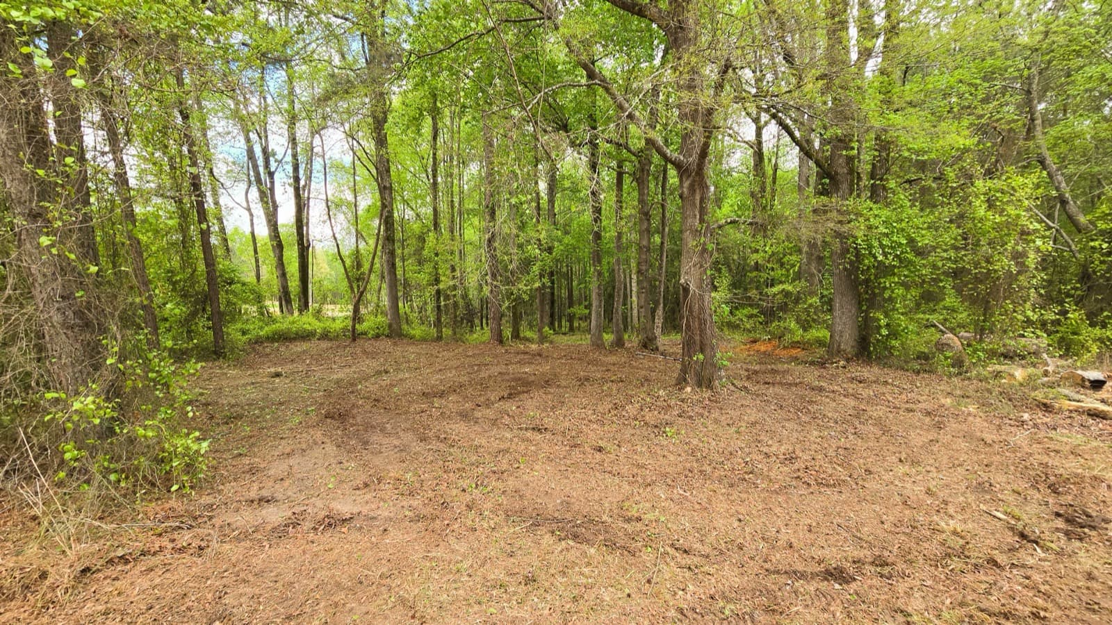 The same Middlesex property after forestry mulching